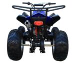 ATV 200 Sports - Image 12