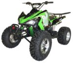 ATV 200 Sports - Image 5