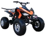 ATV 200 Sports - Image 8