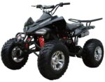 ATV 200 Sports - Image 2