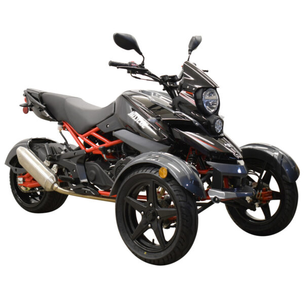 Street Legal Trike200cc - Image 3