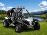 Gokart DF200GKF