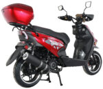 Gator 200-T - Image 6