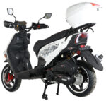 Gator 200-T - Image 9