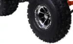 NEWCHEETAH - Image 7